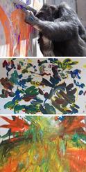 شمبانزي يرسم لوحات فنية تباع الواحدة مقابل 150 دولارا!